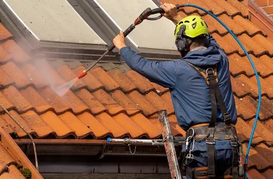 Démoussage et hydrofuge de toiture à Amancy